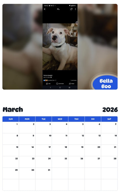 November 2025 - October 2026 Bella Boo - Pawidols Pet Calendar