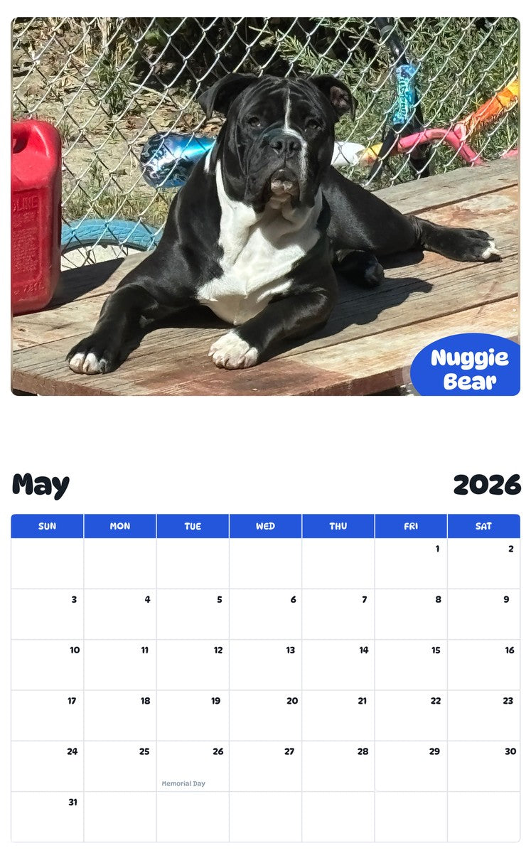 2026 - 2027 Nuggie Bear - Pawidols Pet Calendar