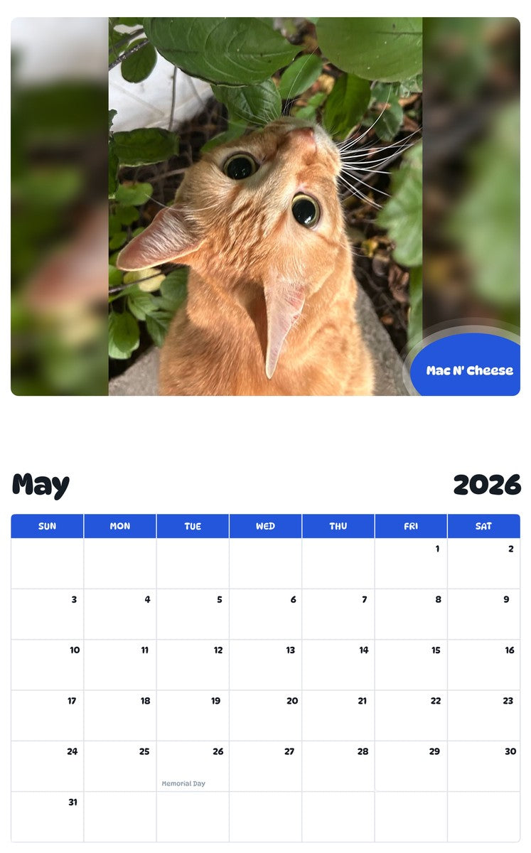 2026 - 2027 Mac N' Cheese - Pawidols Pet Calendar