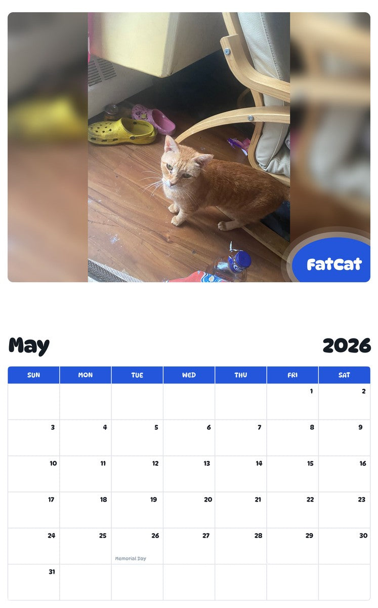 2026 - 2027 FatCat - Pawidols Pet Calendar