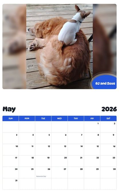 2026 - 2027 BJ and Zeus - Pawidols Pet Calendar