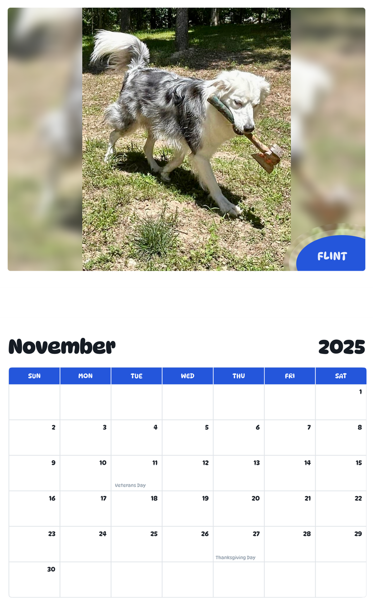 July 2025 - June 2026 Flint - Pawidols Pet Calendar