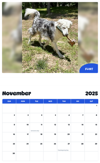 July 2025 - June 2026 Flint - Pawidols Pet Calendar