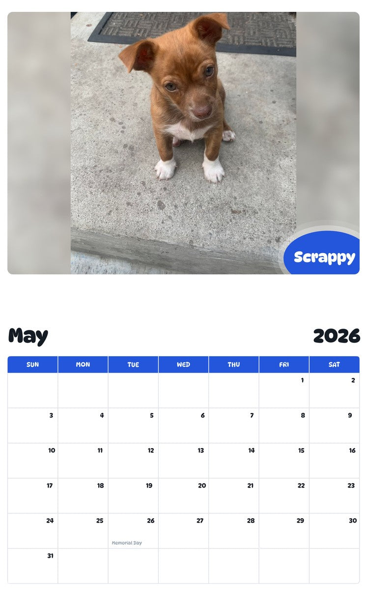 2026 - 2027 Scrappy - Pawidols Pet Calendar