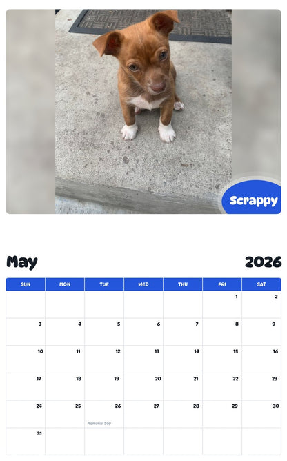 2026 - 2027 Scrappy - Pawidols Pet Calendar