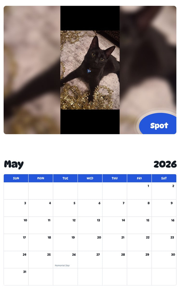 2026 - 2027 Spot - Pawidols Pet Calendar