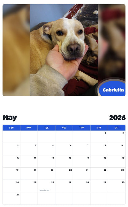 2026 - 2027 Gabriella - Pawidols Pet Calendar