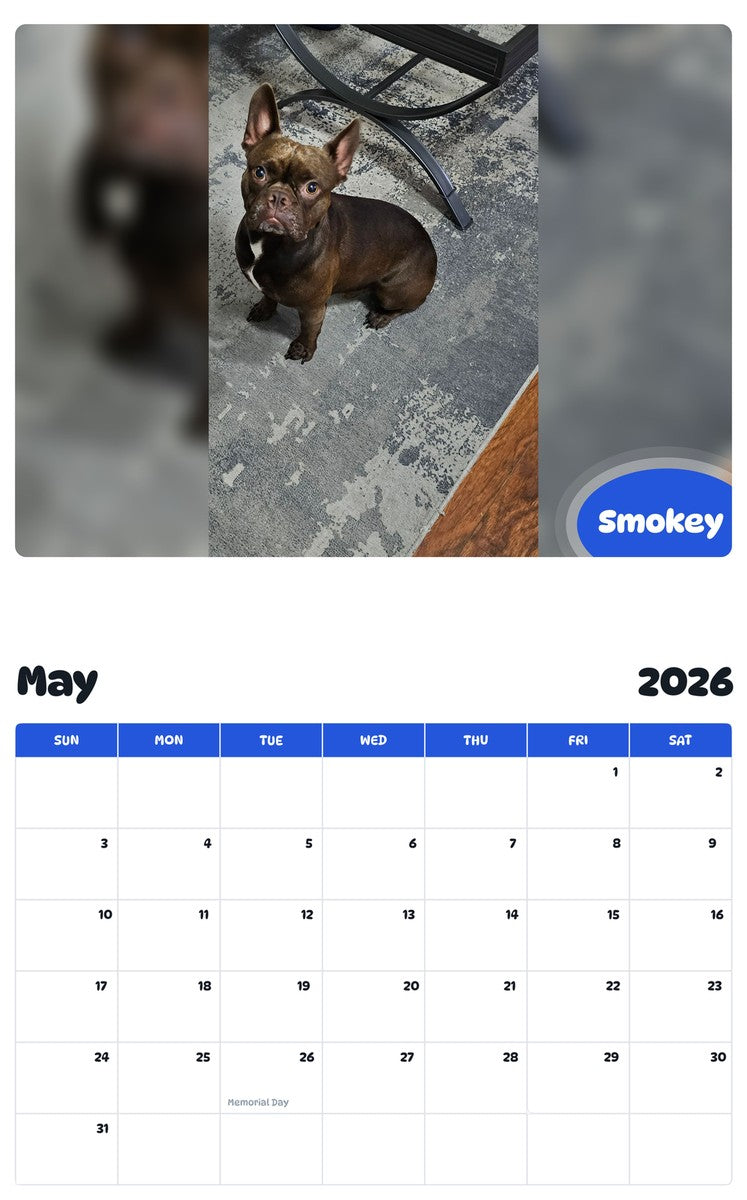 2026 - 2027 Smokey - Pawidols Pet Calendar