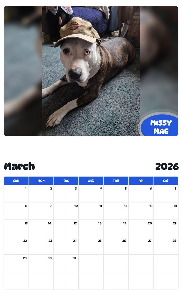 November 2025 - October 2026 MISSY MAE - Pawidols Pet Calendar