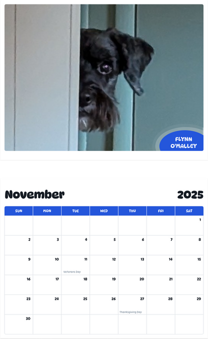 July 2025 - June 2026 Flynn O'Malley - Pawidols Pet Calendar