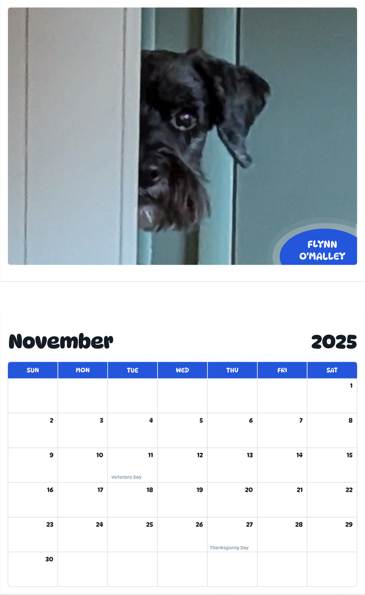 July 2025 - June 2026 Flynn O'Malley - Pawidols Pet Calendar