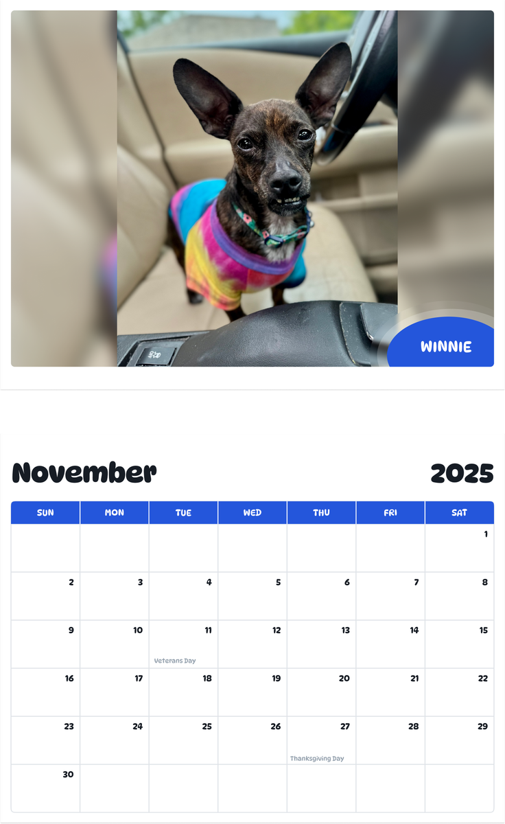 July 2025 - June 2026 Winnie - Pawidols Pet Calendar