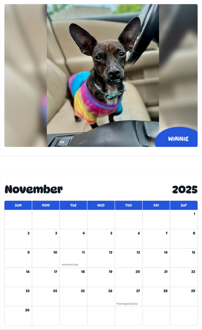 July 2025 - June 2026 Winnie - Pawidols Pet Calendar