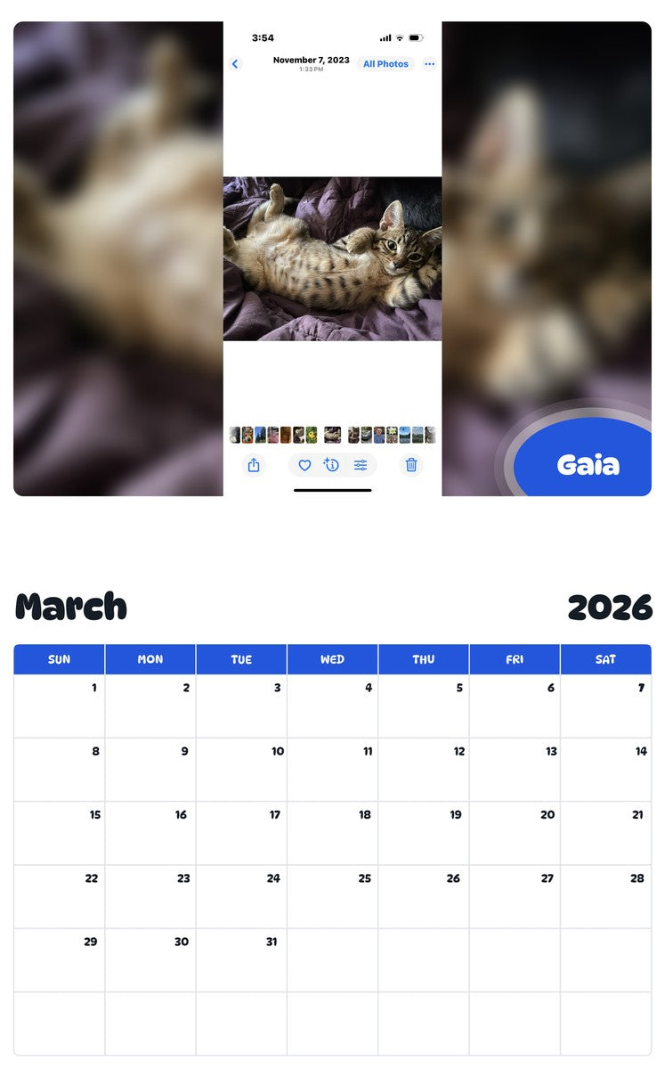 November 2025 - October 2026 Gaia - Pawidols Pet Calendar