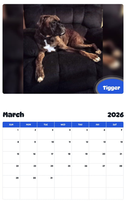 November 2025 - October 2026 Tigger - Pawidols Pet Calendar