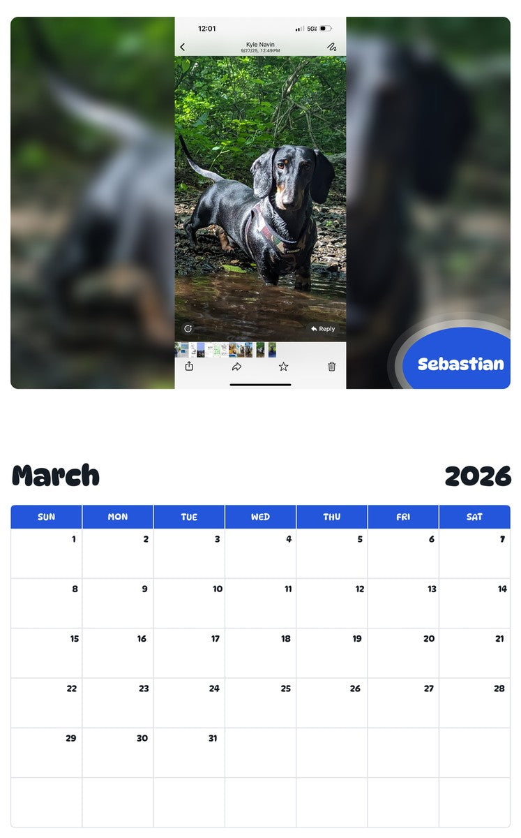 November 2025 - October 2026 Sebastian - Pawidols Pet Calendar