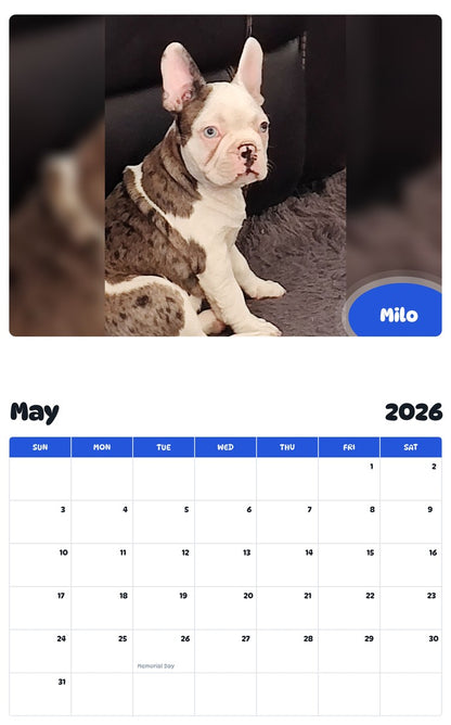 2026 - 2027 Milo - Pawidols Pet Calendar