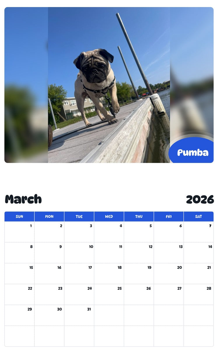 November 2025 - October 2026 Pumba - Pawidols Pet Calendar