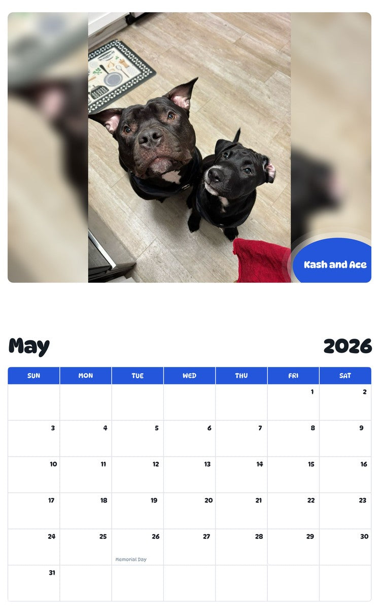 2026 - 2027 Kash and Ace - Pawidols Pet Calendar
