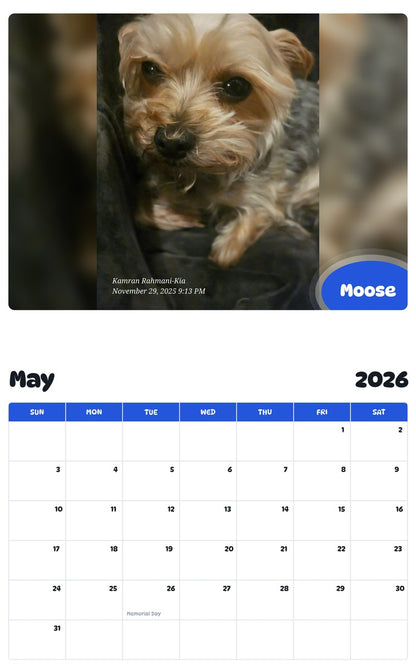 2026 - 2027 Moose - Pawidols Pet Calendar