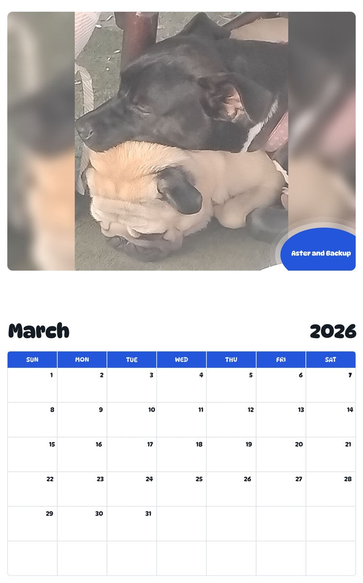 November 2025 - October 2026 Aster and Backup - Pawidols Pet Calendar