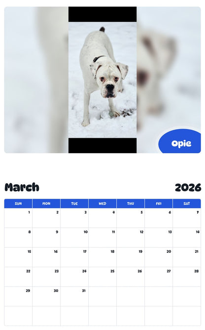 November 2025 - October 2026 Opie - Pawidols Pet Calendar