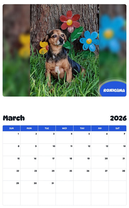 November 2025 - October 2026 ROXIEANA - Pawidols Pet Calendar