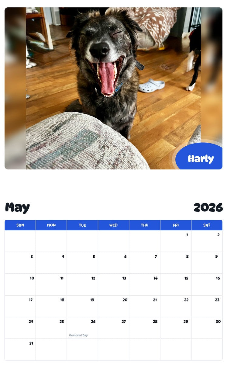 2026 - 2027 Harly - Pawidols Pet Calendar