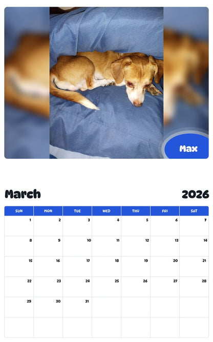 November 2025 - October 2026 Max - Pawidols Pet Calendar