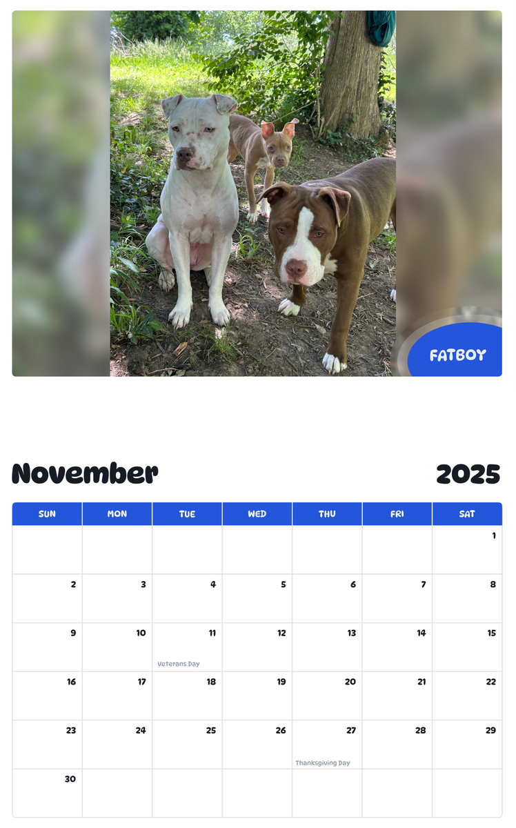 July 2025 - June 2026 Fatboy - Pawidols Pet Calendar