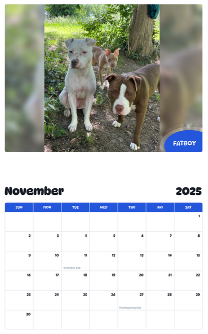 July 2025 - June 2026 Fatboy - Pawidols Pet Calendar