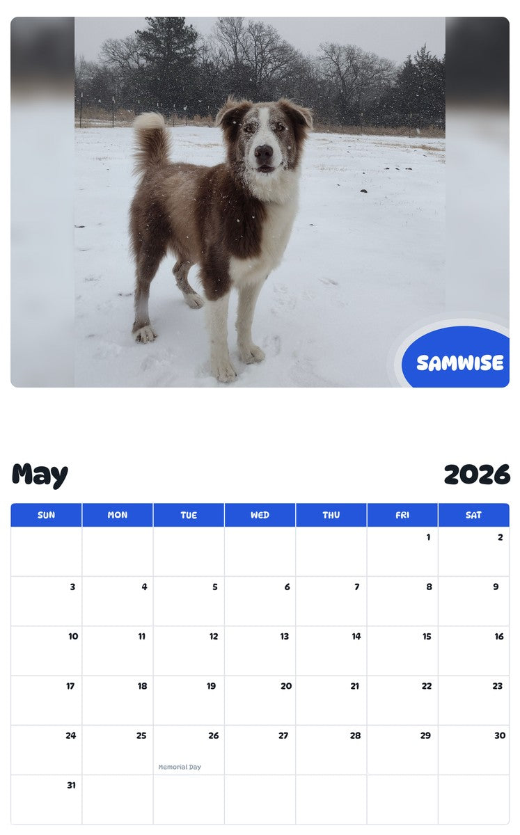 2026 - 2027 SAMWISE - Pawidols Pet Calendar