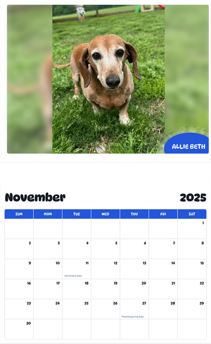 July 2025 - June 2026 Allie Beth - Pawidols Pet Calendar