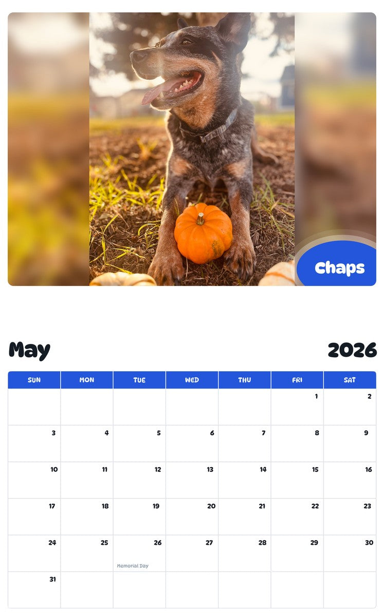 2026 - 2027 Chaps - Pawidols Pet Calendar