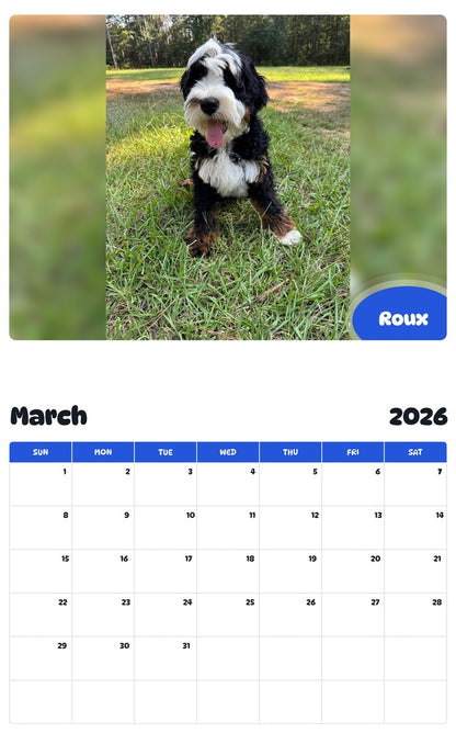 November 2025 - October 2026 Roux - Pawidols Pet Calendar