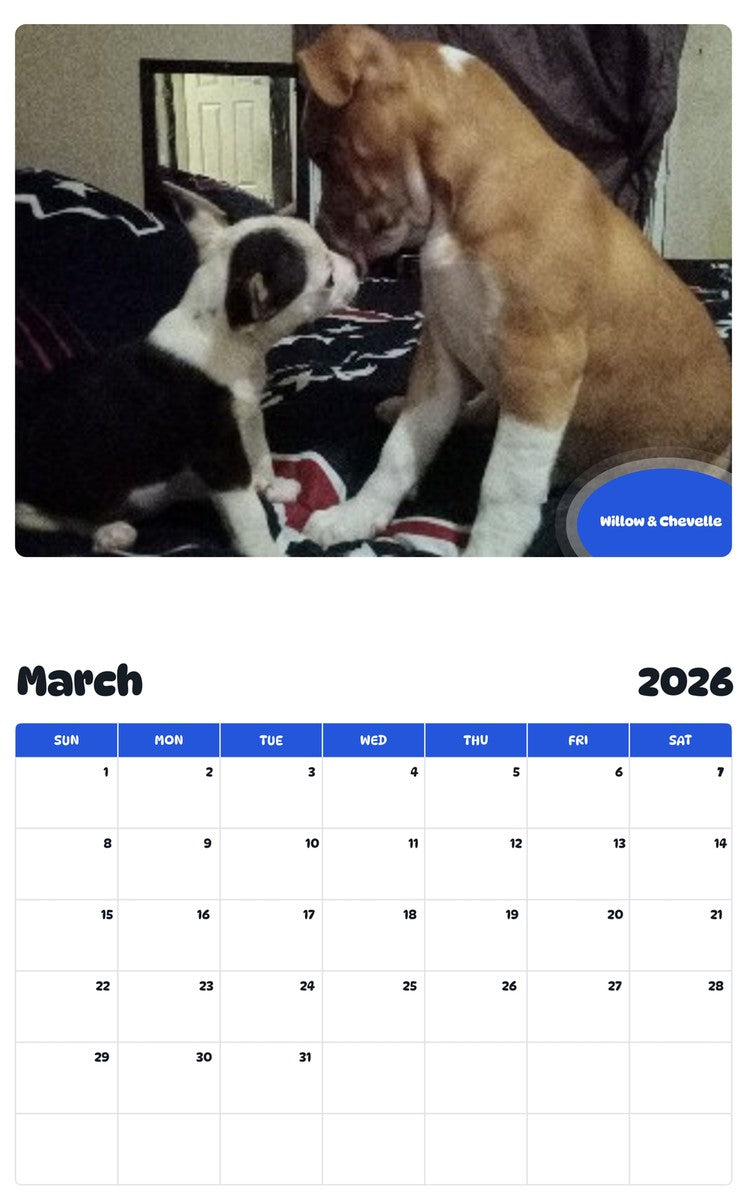 November 2025 - October 2026 Willow & Chevelle - Pawidols Pet Calendar