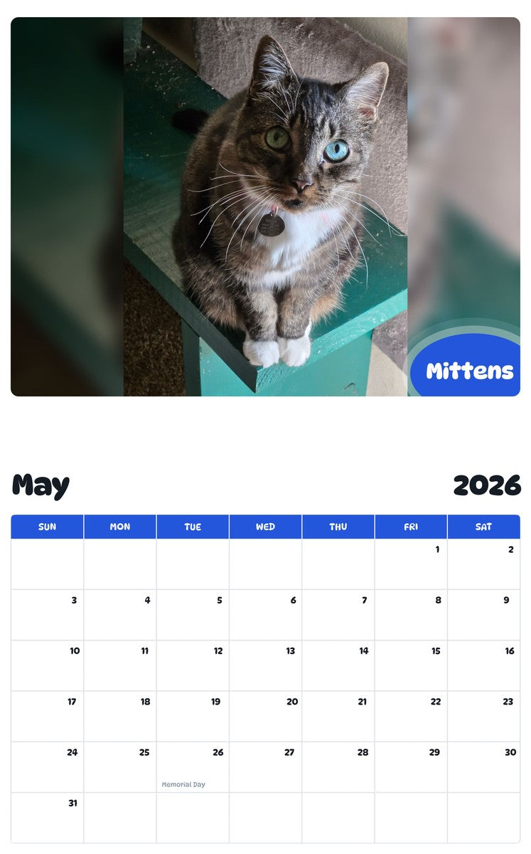 2026 - 2027 Mittens - Pawidols Pet Calendar