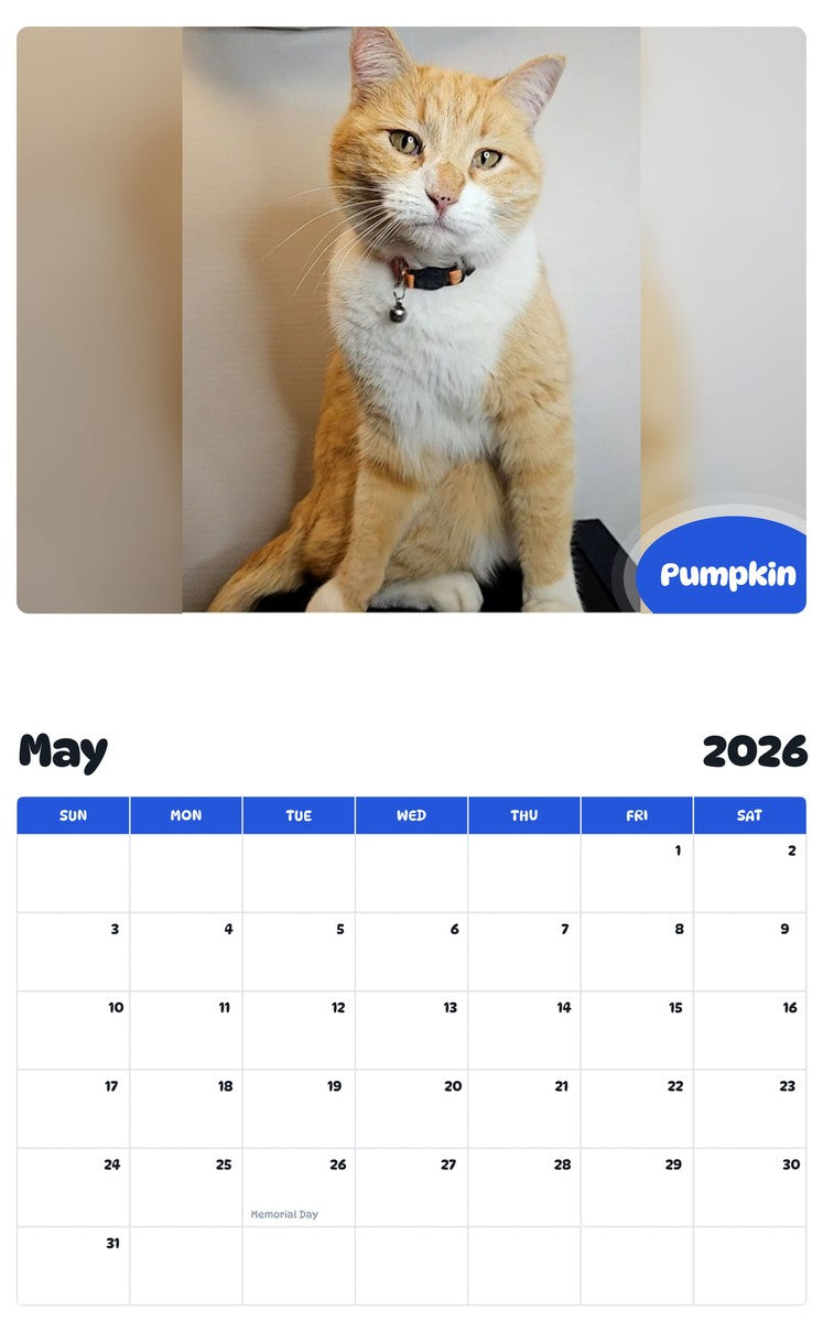 2026 - 2027 Pumpkin - Pawidols Pet Calendar