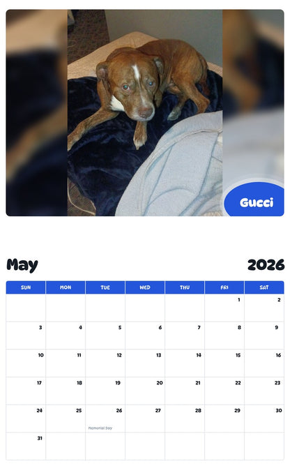 2026 - 2027 Gucci - Pawidols Pet Calendar