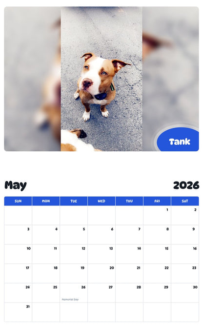 2026 - 2027 Tank - Pawidols Pet Calendar