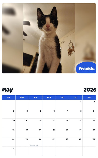 2026 - 2027 Frankie - Pawidols Pet Calendar