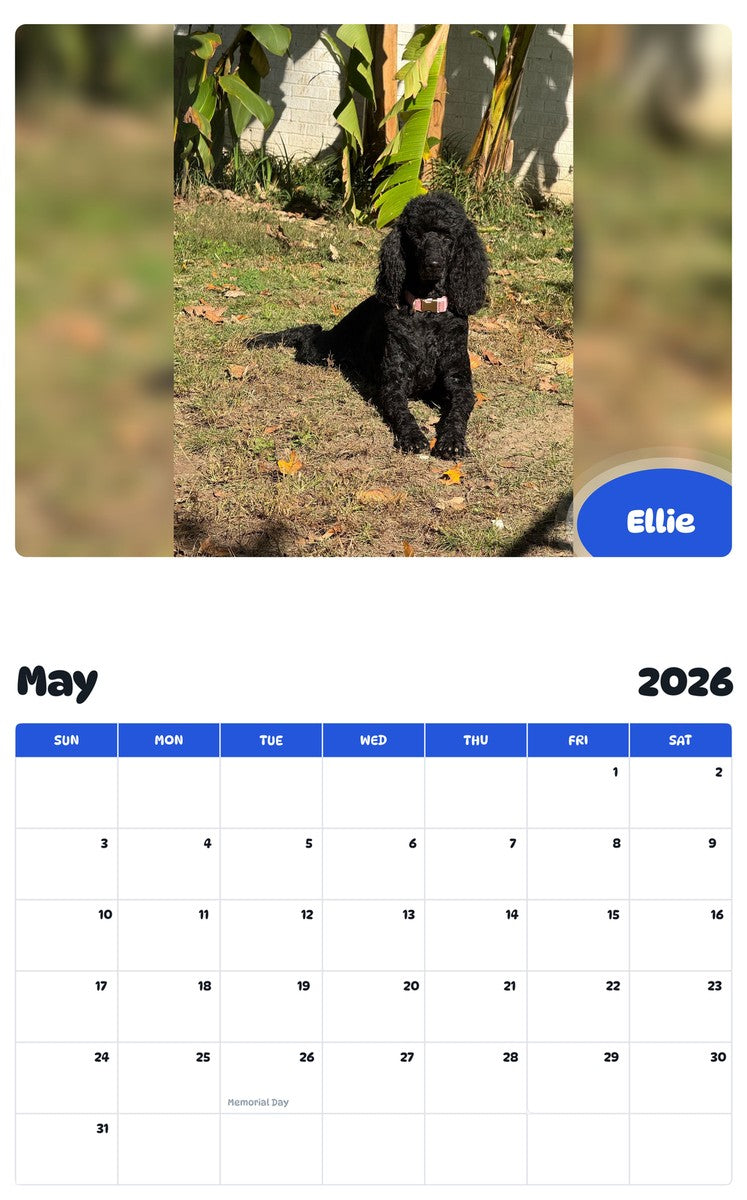 2026 - 2027 Ellie - Pawidols Pet Calendar