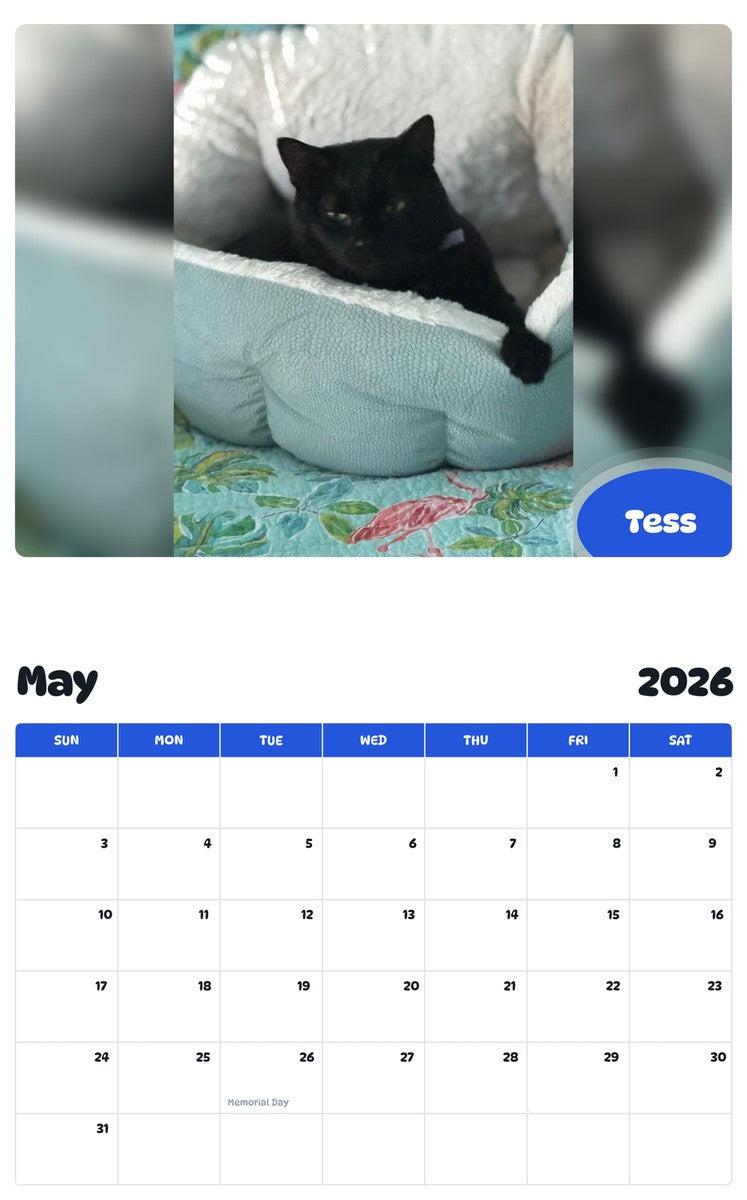 2026 - 2027 Tess - Pawidols Pet Calendar