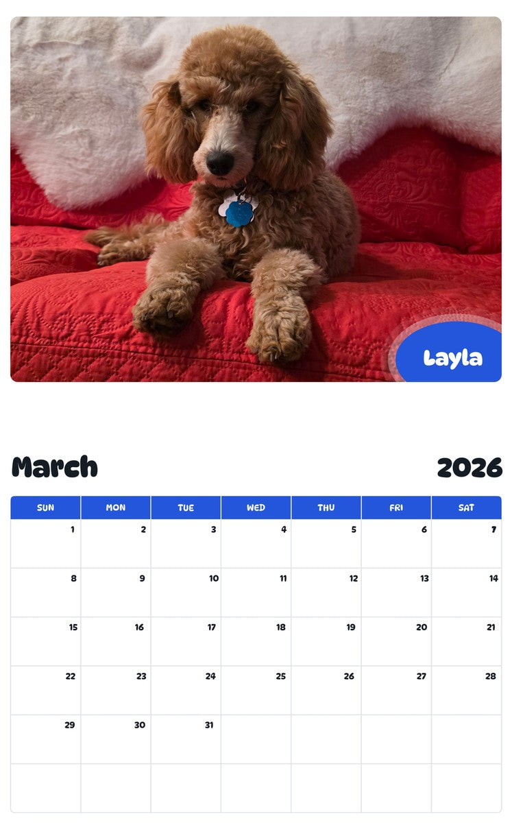 November 2025 - October 2026 Layla - Pawidols Pet Calendar