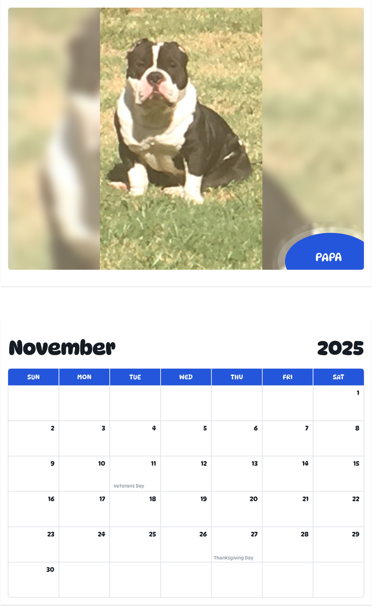 July 2025 - June 2026 Papa - Pawidols Pet Calendar