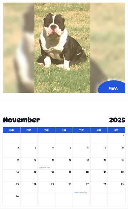 July 2025 - June 2026 Papa - Pawidols Pet Calendar
