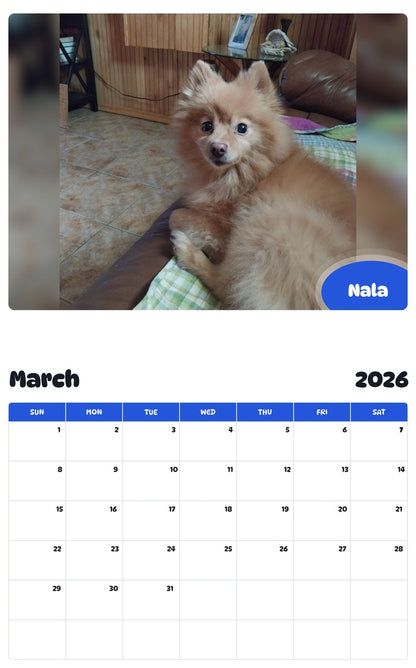 November 2025 - October 2026 Nala - Pawidols Pet Calendar