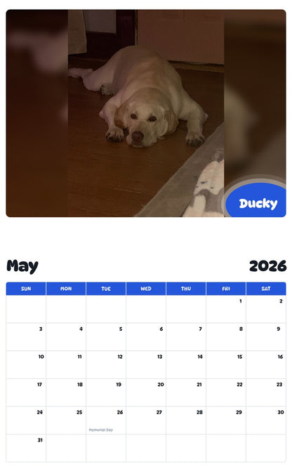 2026 - 2027 Ducky - Pawidols Pet Calendar