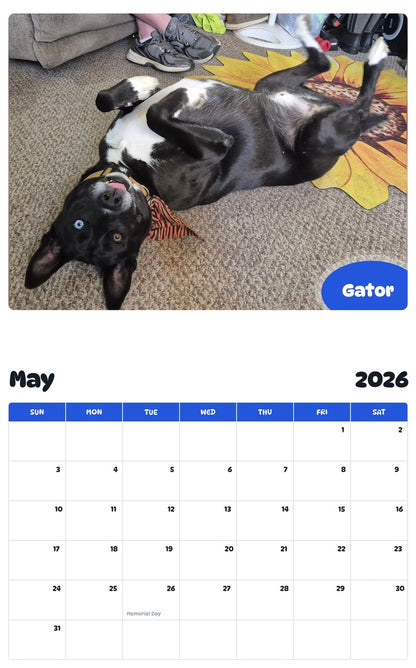 2026 - 2027 Gator - Pawidols Pet Calendar