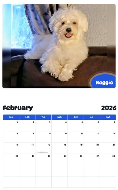 October 2025 - September 2026 Reggie - Pawidols Pet Calendar